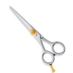 Professional Hair Cutting Scissors