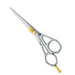 Professional Hair Cutting Scissors