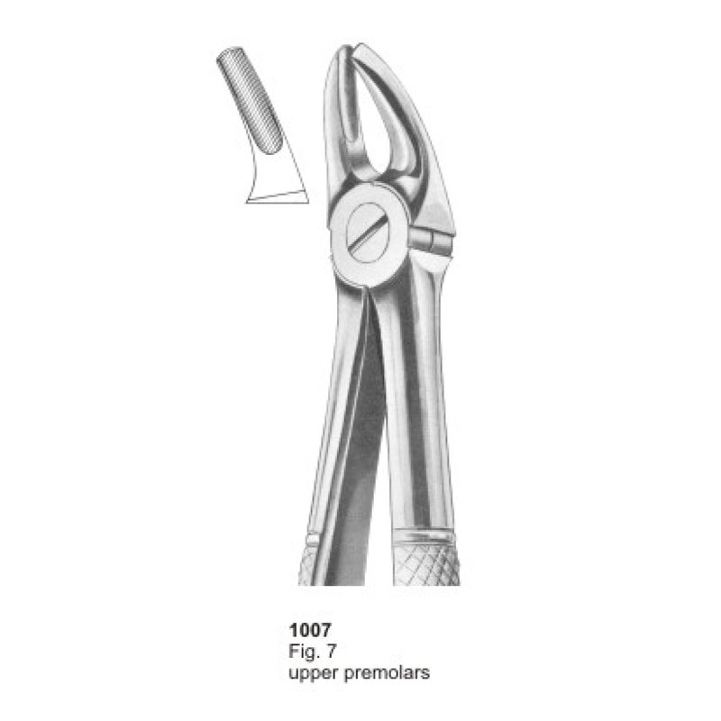 3-12-1.jpg Extracting Forceps - Image 1